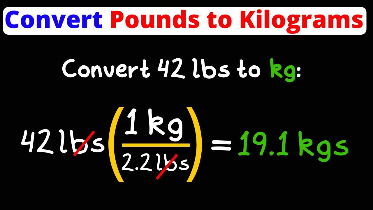 What is 307 Pounds in Kilograms? Convert lbs to kg Instantly