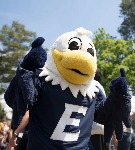 Discover the Story of Swoop the Eagle: From Humble Beginnings to Heroic Mascot