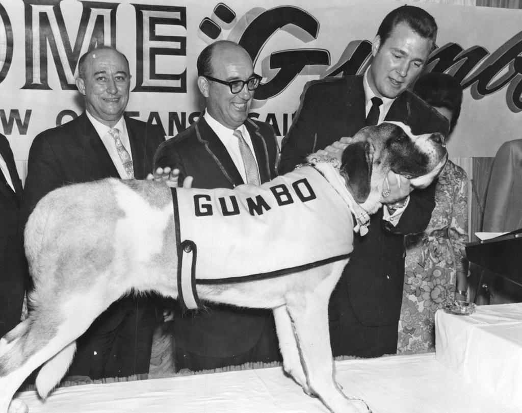 Gumbo the Dog: How the Saint Bernard Became the New Orleans Saints Mascot