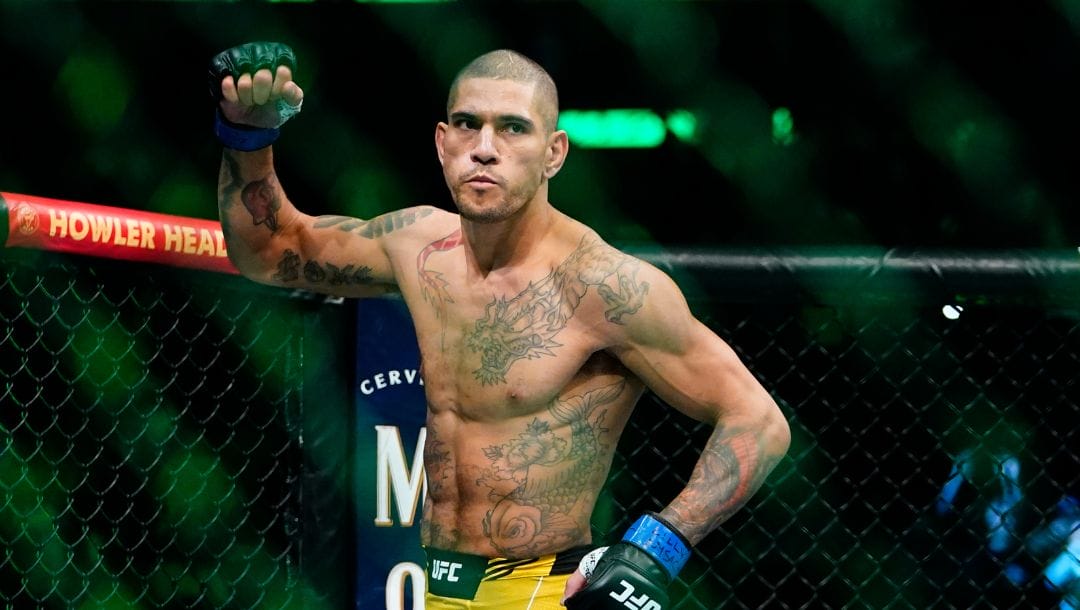 When is Alex Pereira Fight Next? Get the Date and Details!