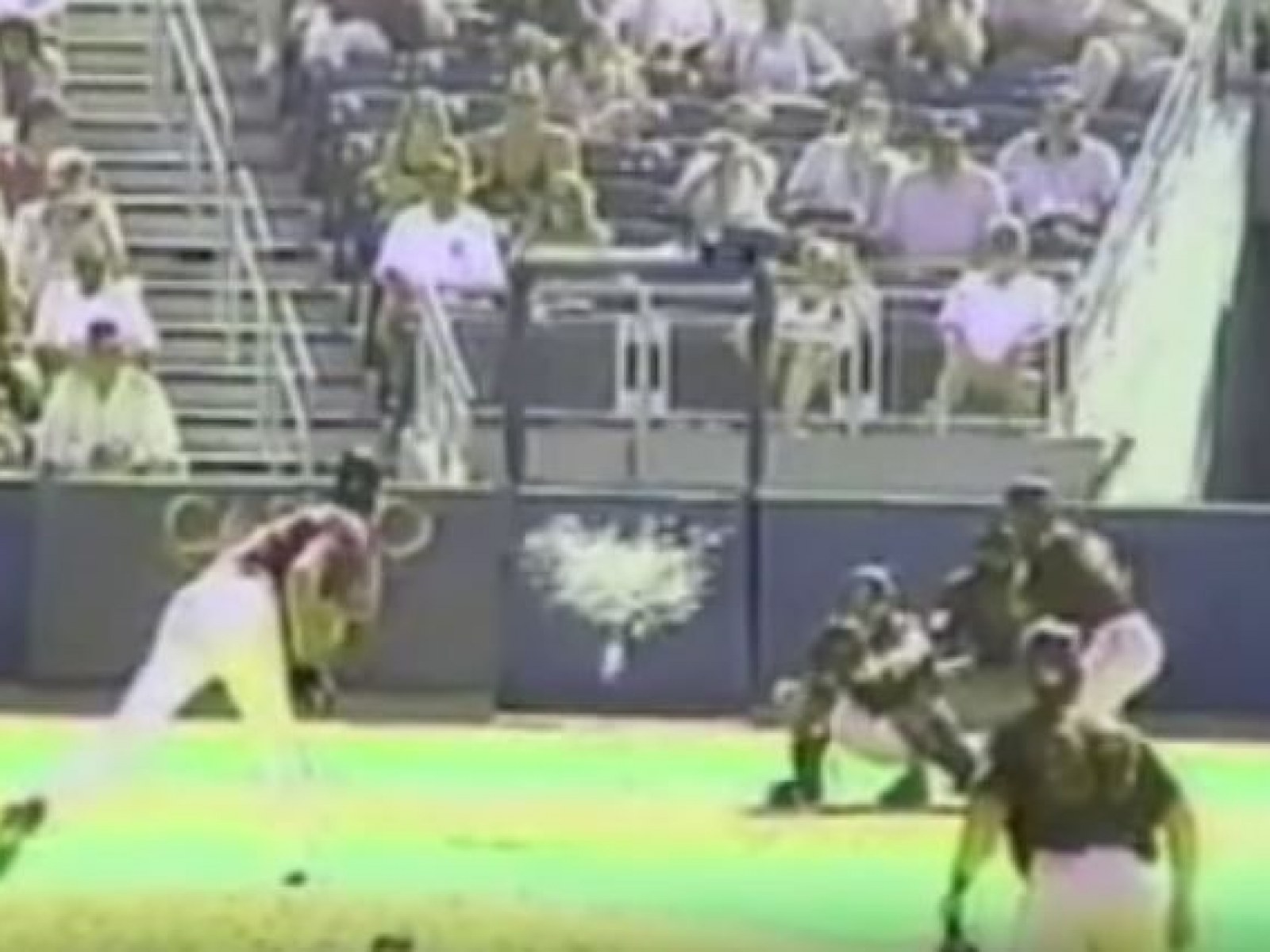 Did Randy Johnson Really Hit a Bird with a Fastball?