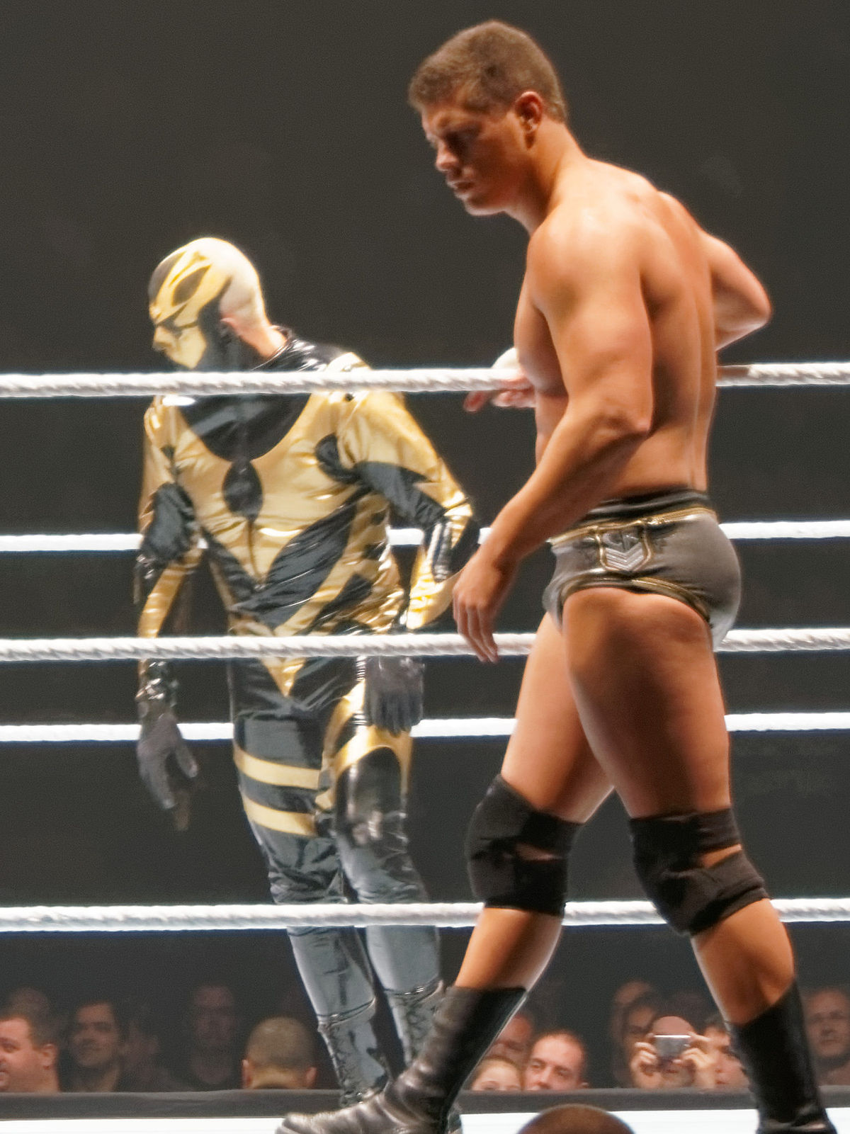 Cody Rhodes and His Brother: The Story of Two Wrestling Superstars