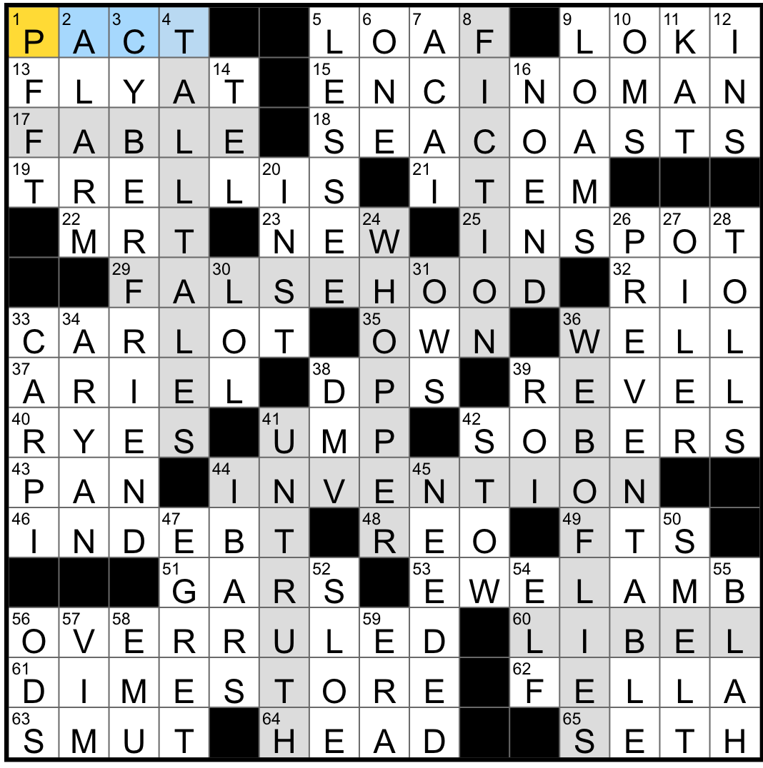 Need Help with Bubbles on a Beach NYT Crossword? Tips and Tricks