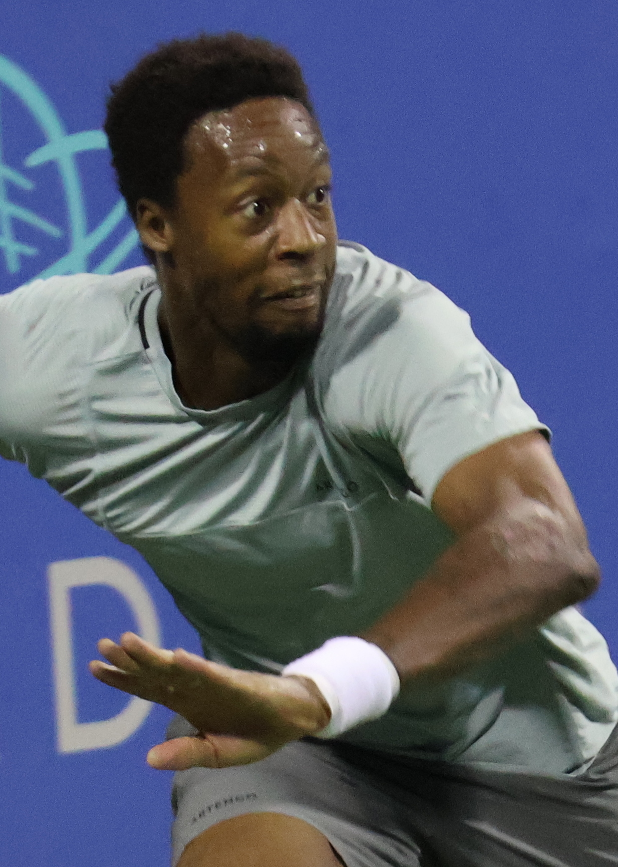 Gael Monfils Ranking: Where Does the French Star Stand Now?