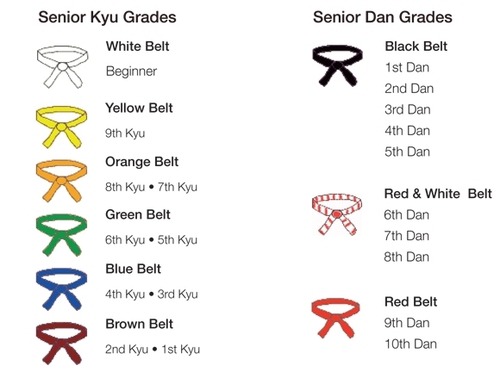 Judo ranks nyt explained:  Heres what you need to know about the belts!