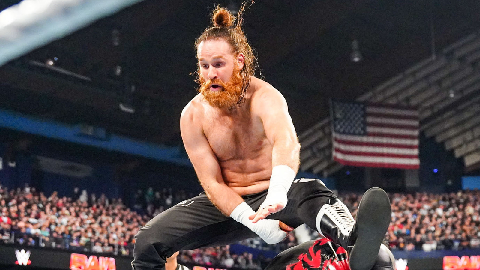 Sami Zayn: The Underdog Story That Captivated WWE Fans