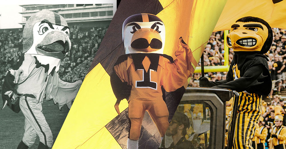 Herky the Hawks History: Whats the Story? (A Simple Look at His Origins)