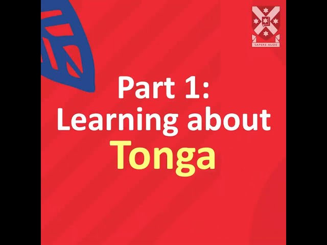 Talla tonga basics (Learn what it is and why people are talking about it)