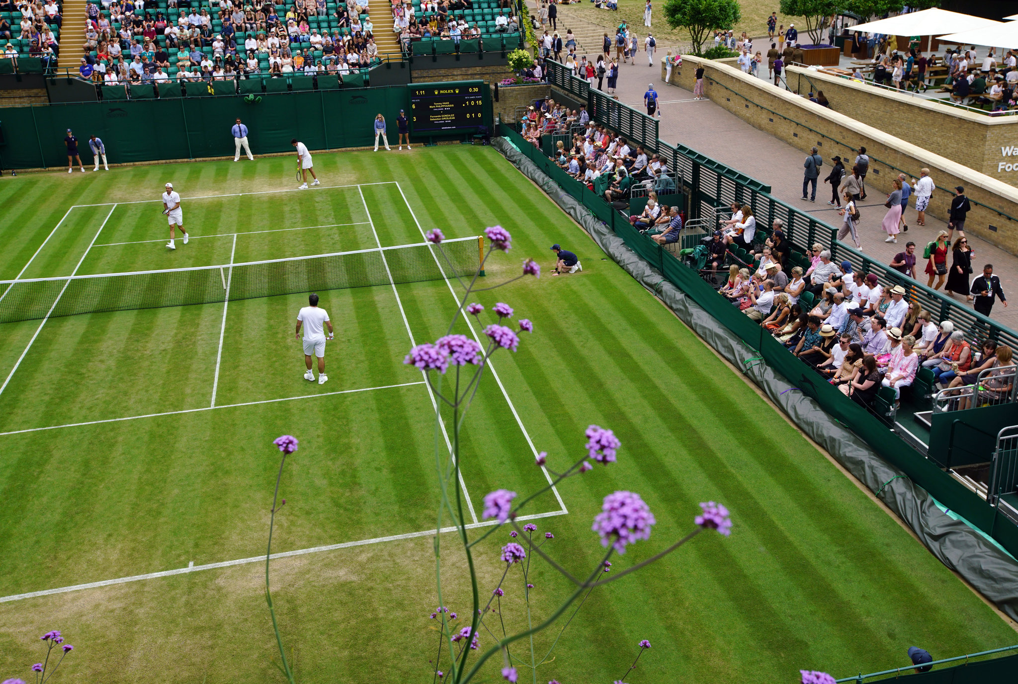 5 time Wimbledon champion: Learn how they dominated the famous grass courts!