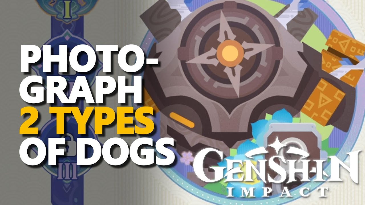 How to Photograph 2 Types of Dogs Genshin Impact: Follow These Easy Steps and Locations!