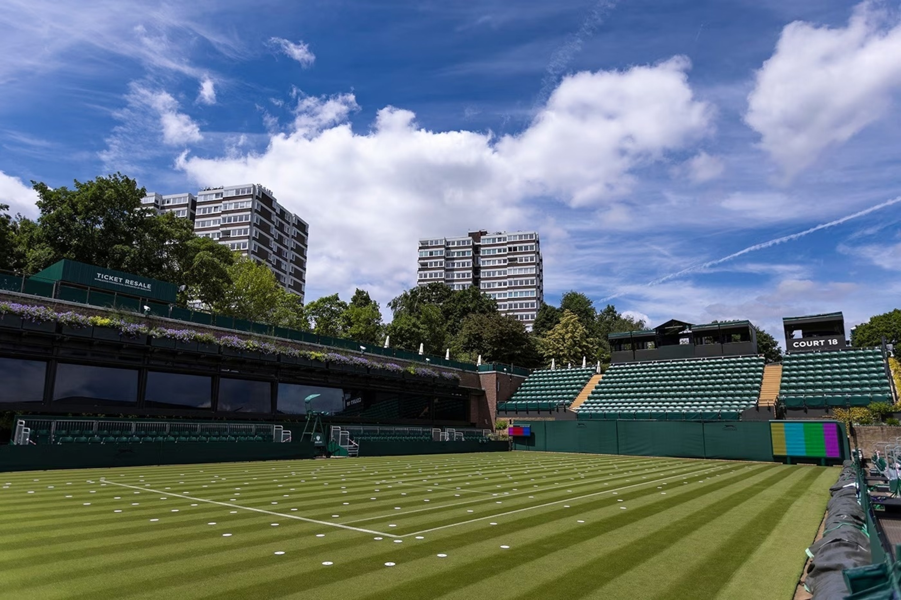 5 time Wimbledon champion: Learn how they dominated the famous grass courts!