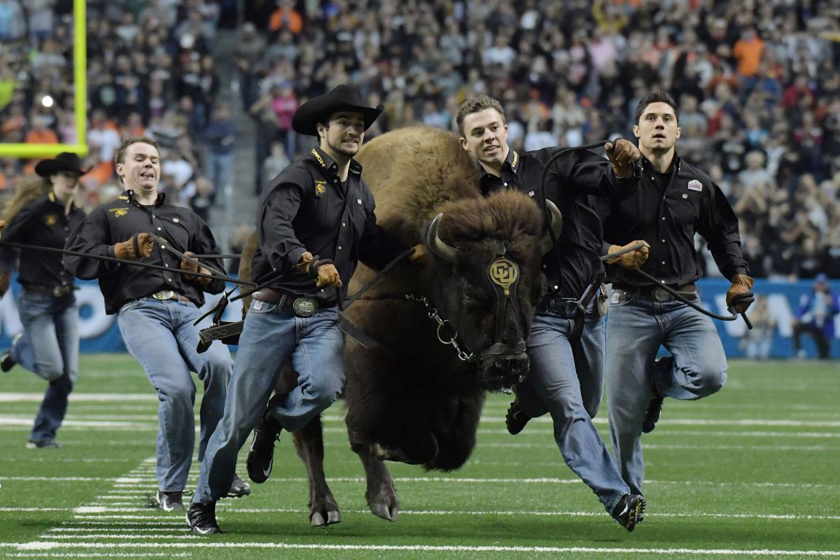 Why the CU Buffs Stampede is Awesome (Reasons to Love Being a Colorado Buffaloes Fan)