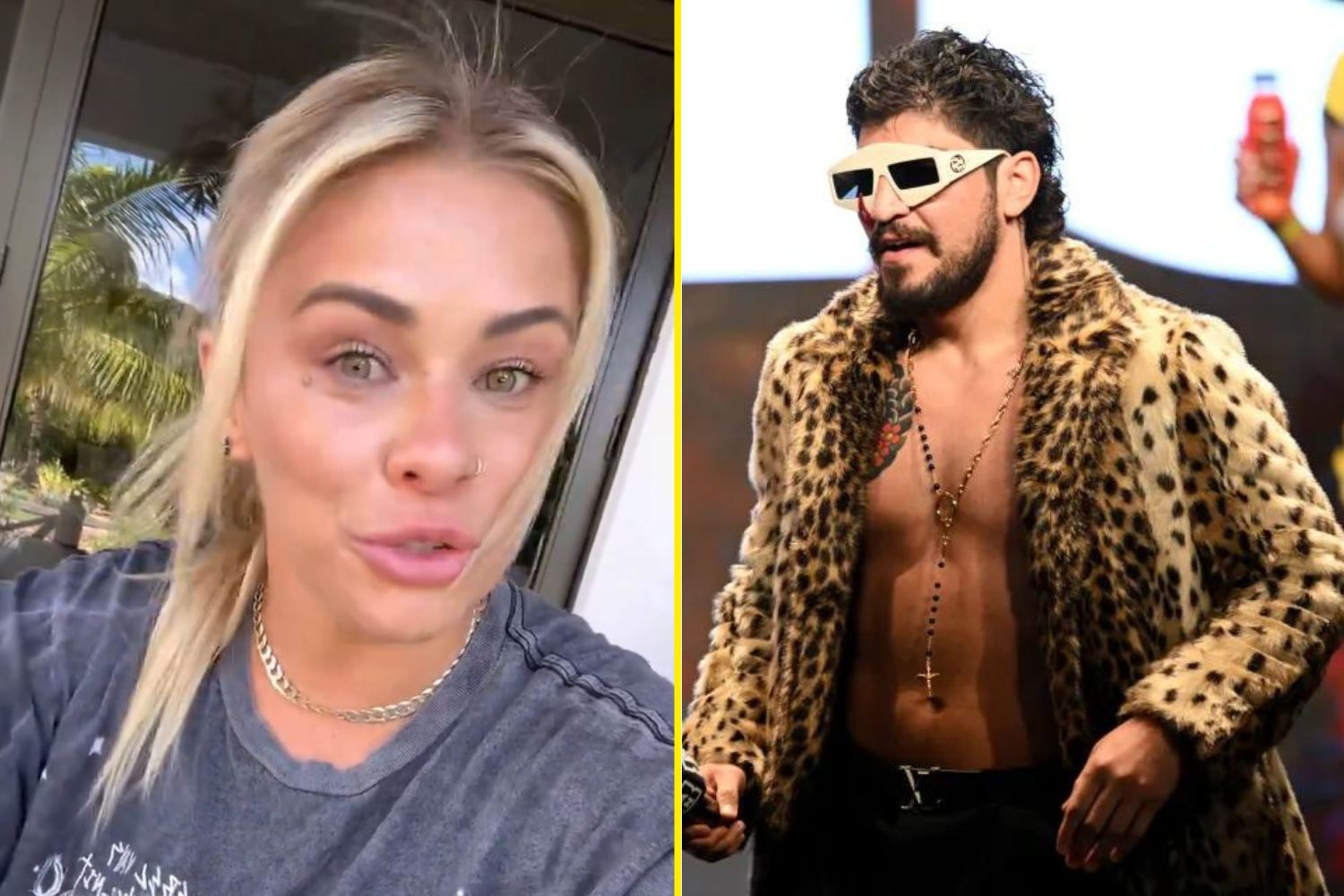 Dillon Danis and Paige VanZant: Friends or More? (The Truth Behind Their Relationship)