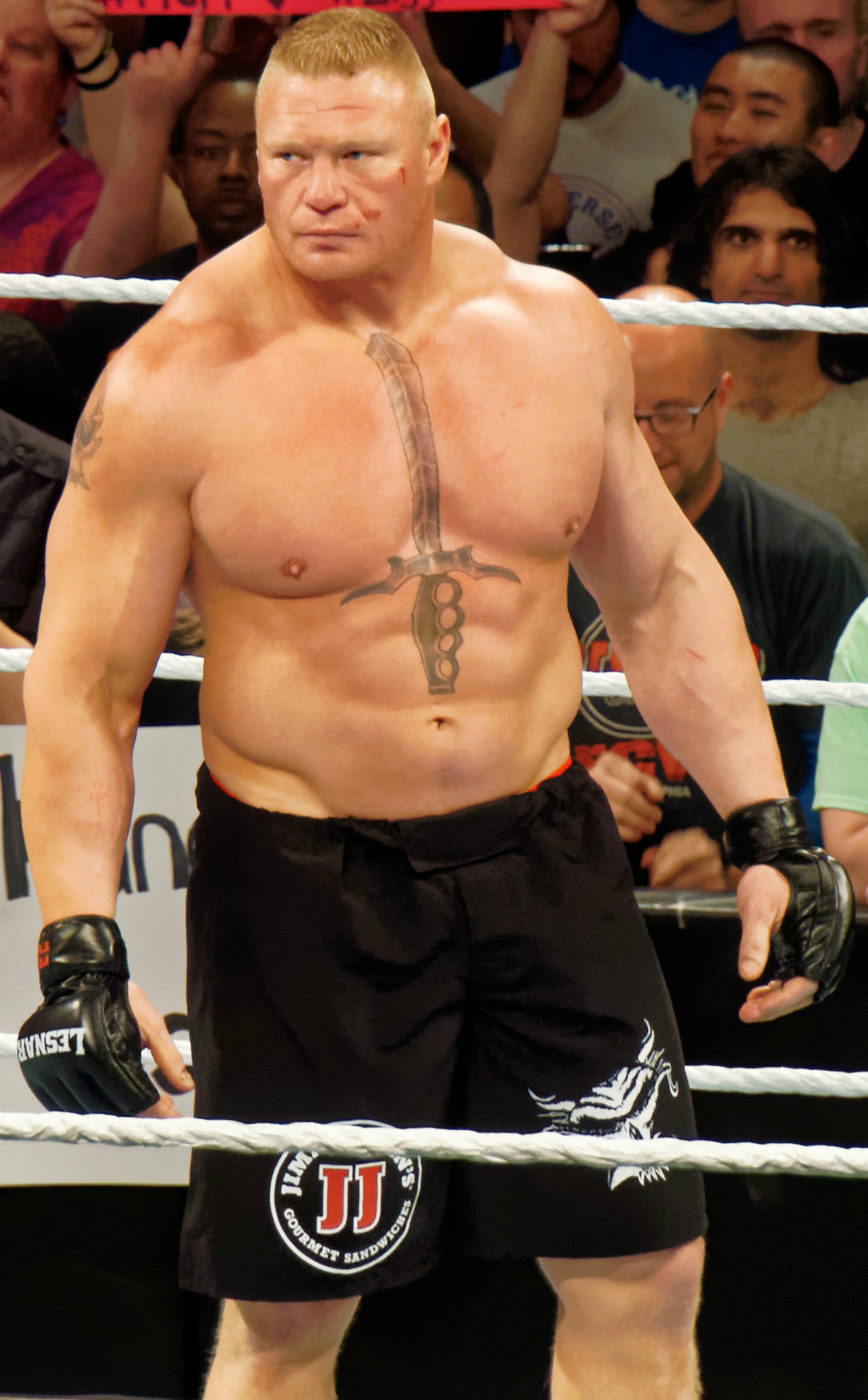 Brock Lesnar: From Beast in the Ring to Family Man at Home