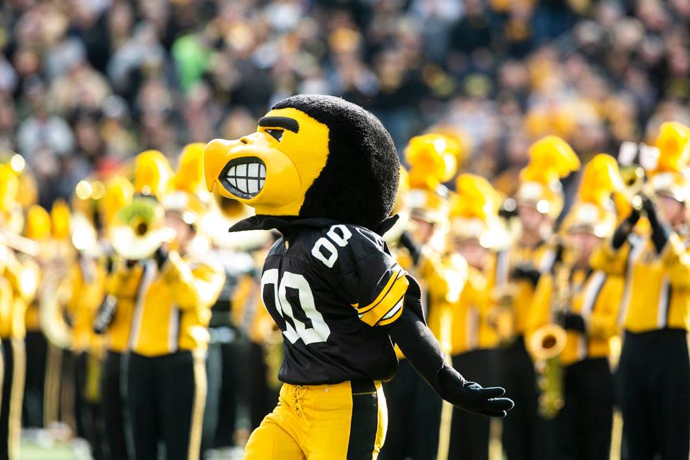 Herky the Hawks History: Whats the Story? (A Simple Look at His Origins)