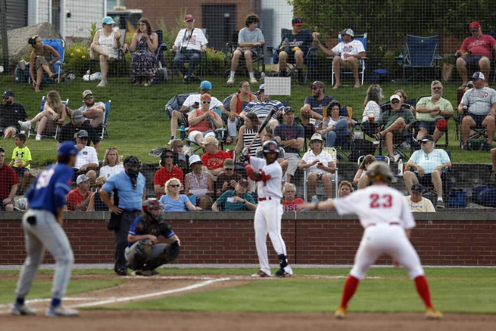 Cape League Standings: Your Guide to the Summer Baseball Race