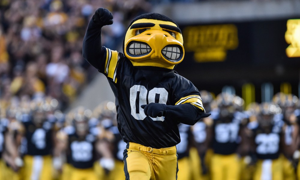 Herky the Hawks History: Whats the Story? (A Simple Look at His Origins)