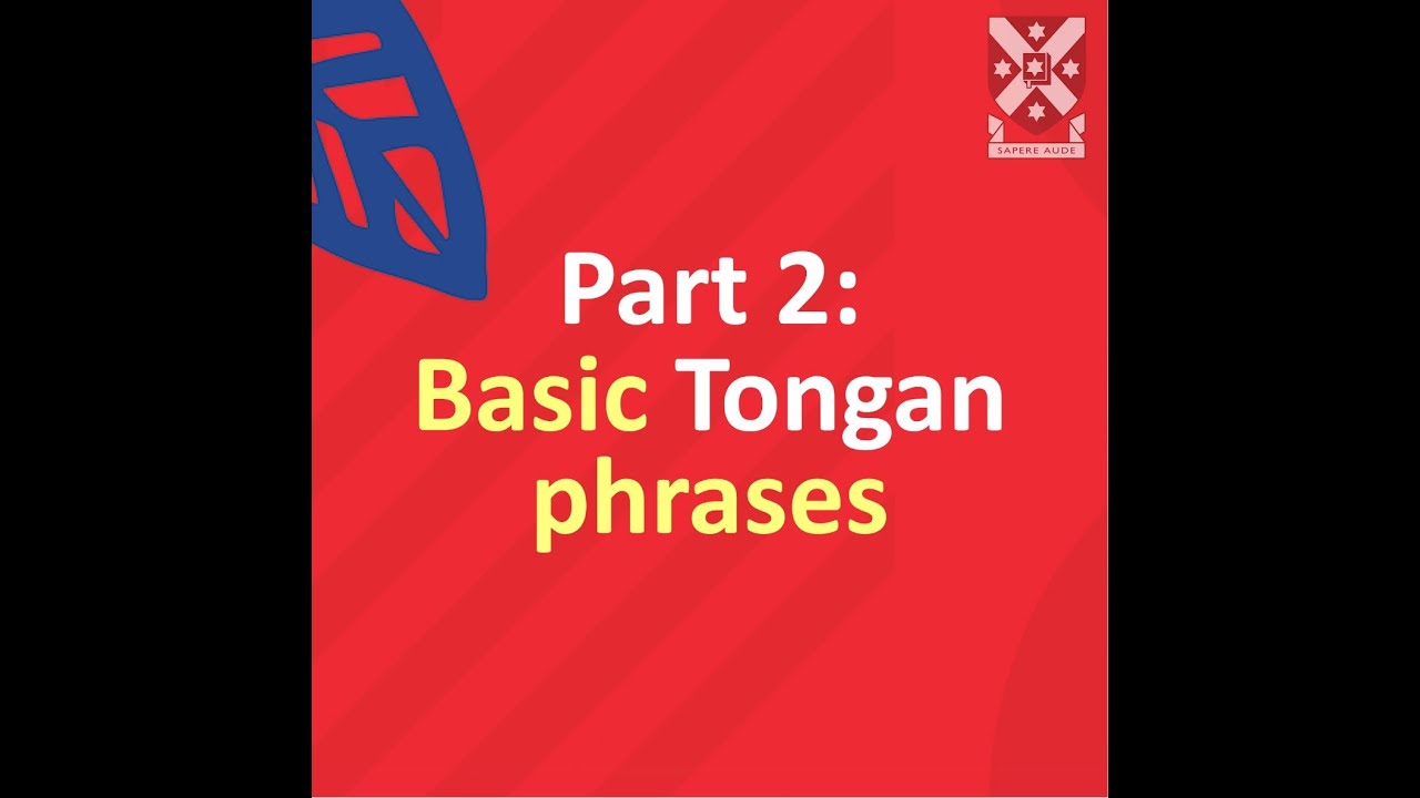 Talla tonga basics (Learn what it is and why people are talking about it)