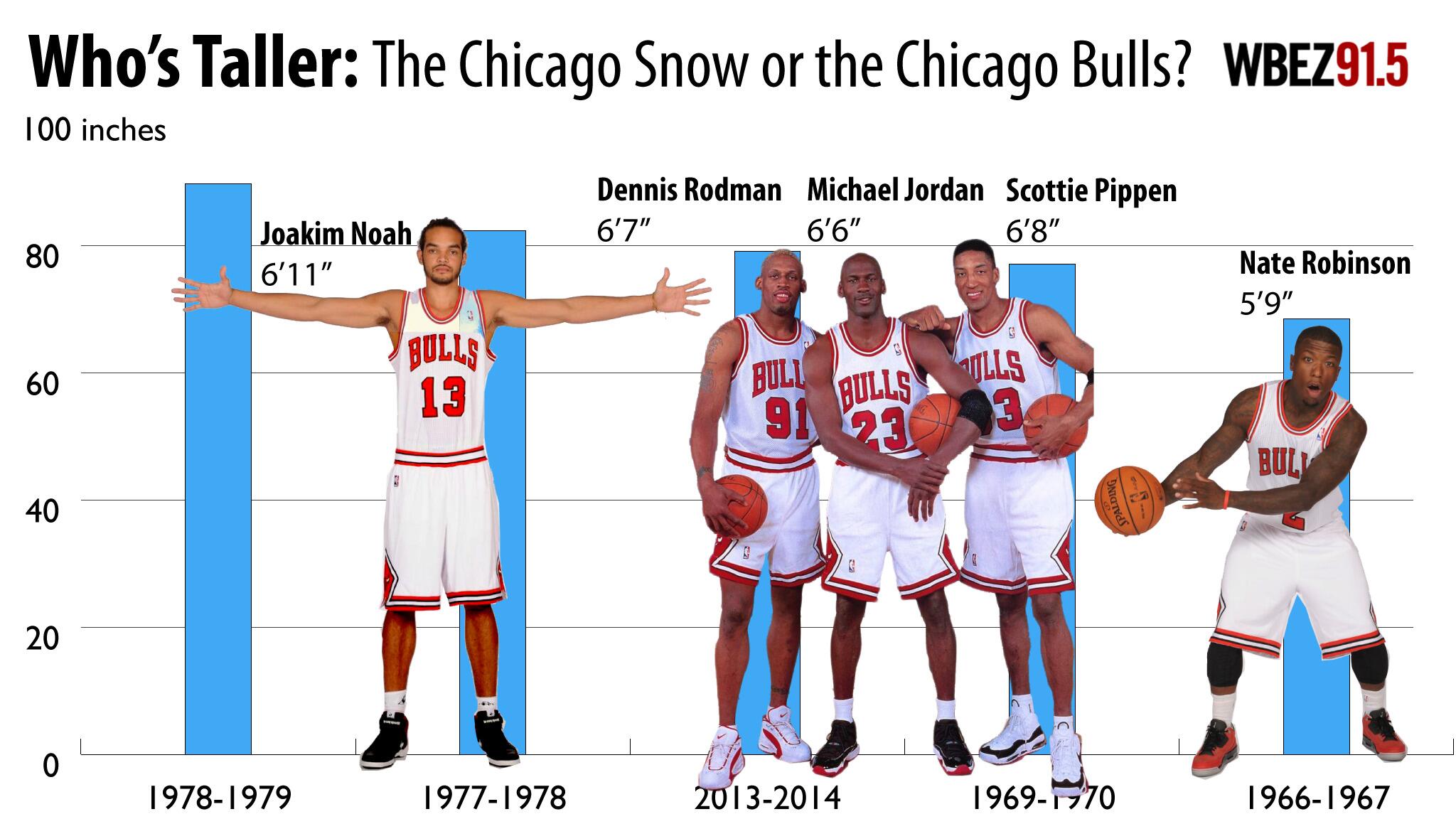 Discovering How Tall Is Michael Jordan: A Look at His Stats