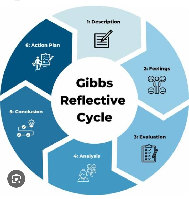 Gibbs or Kelley for Your Project? (Simple Tips to Help You Decide Now)