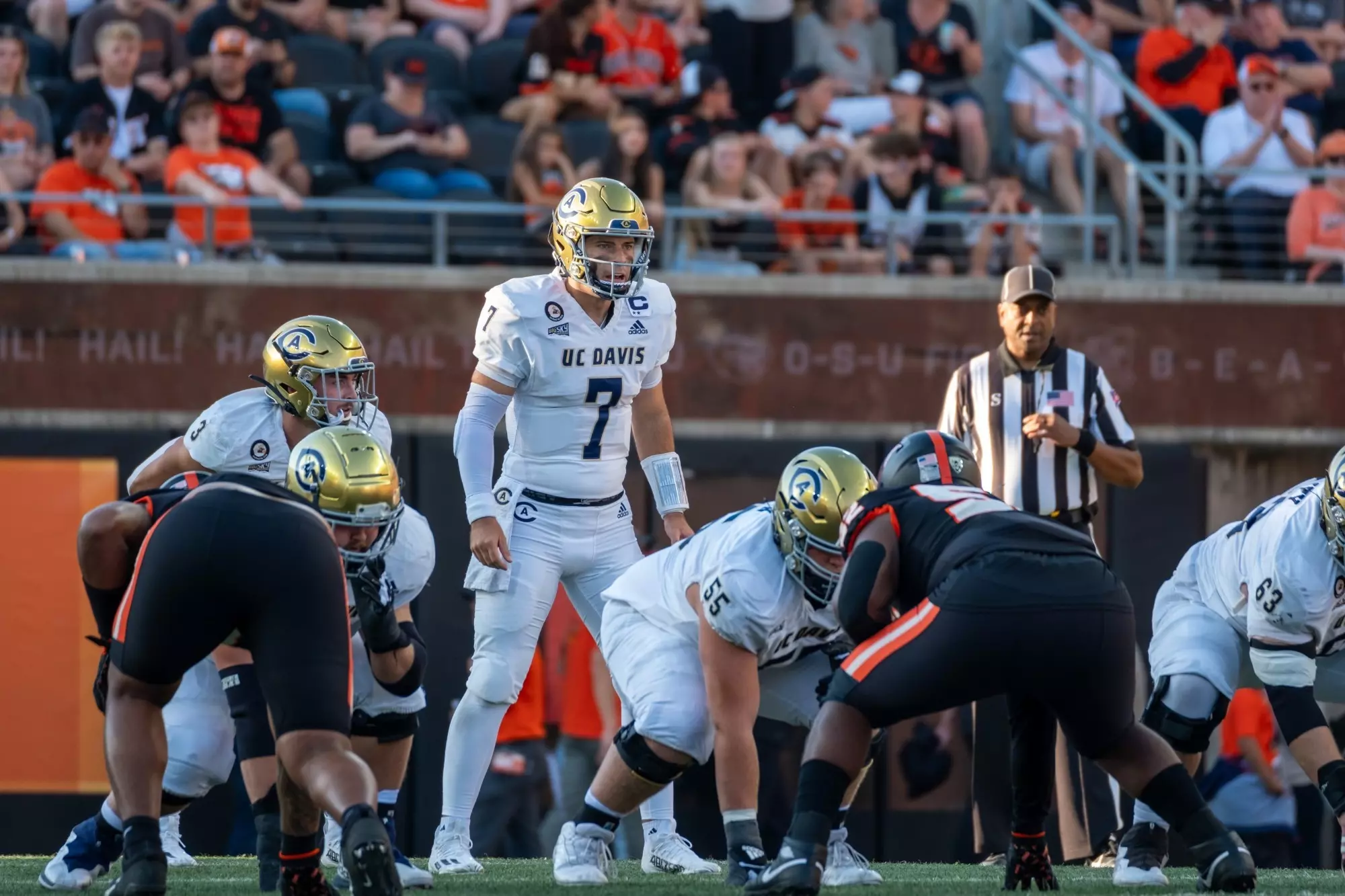 UC Davis vs Oregon State Predictions: Get the Edge! Our Game Analysis Here!