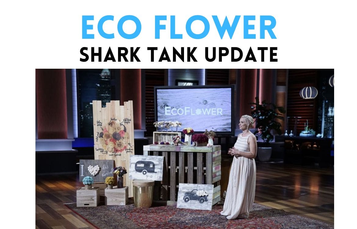 Eco Flower Net Worth: How Much Is This Unique Business Really Worth Today?