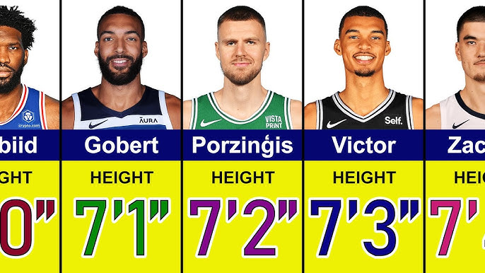 Tallest NBA Player in 2024: Get the Scoop (And How They Compare to Past Giants)