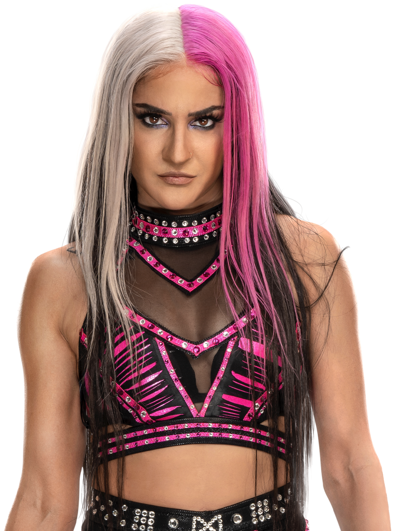 Dakota Kai PNG Downloads: Find High-Quality Pictures Easily!