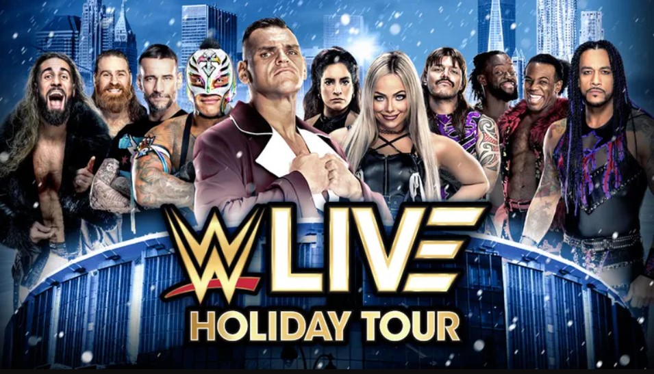 Check WWE Holiday Tour Results: Did Your Favorite Win?