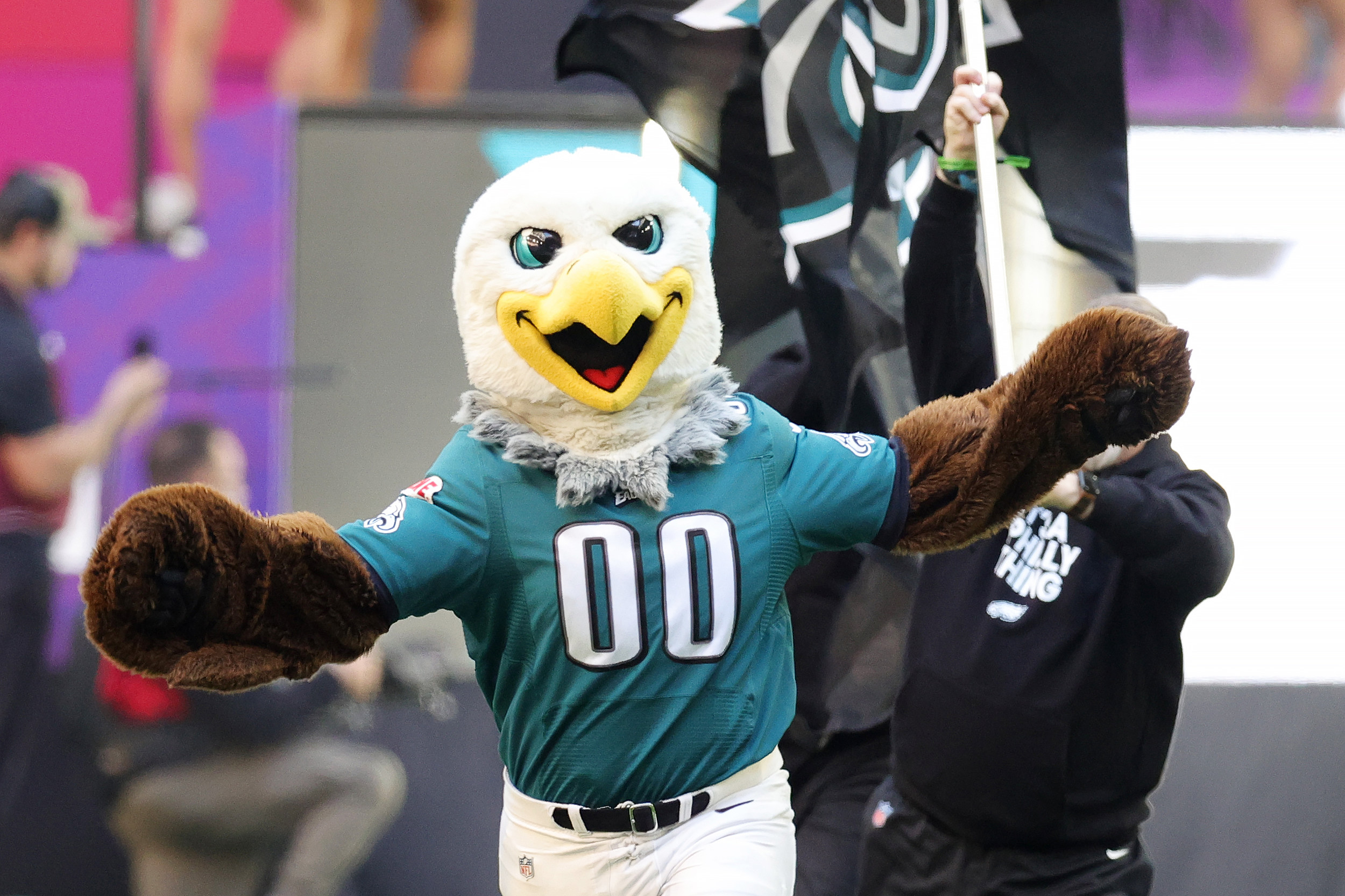 Eagles Mascot Swoop: Fun Facts and History!