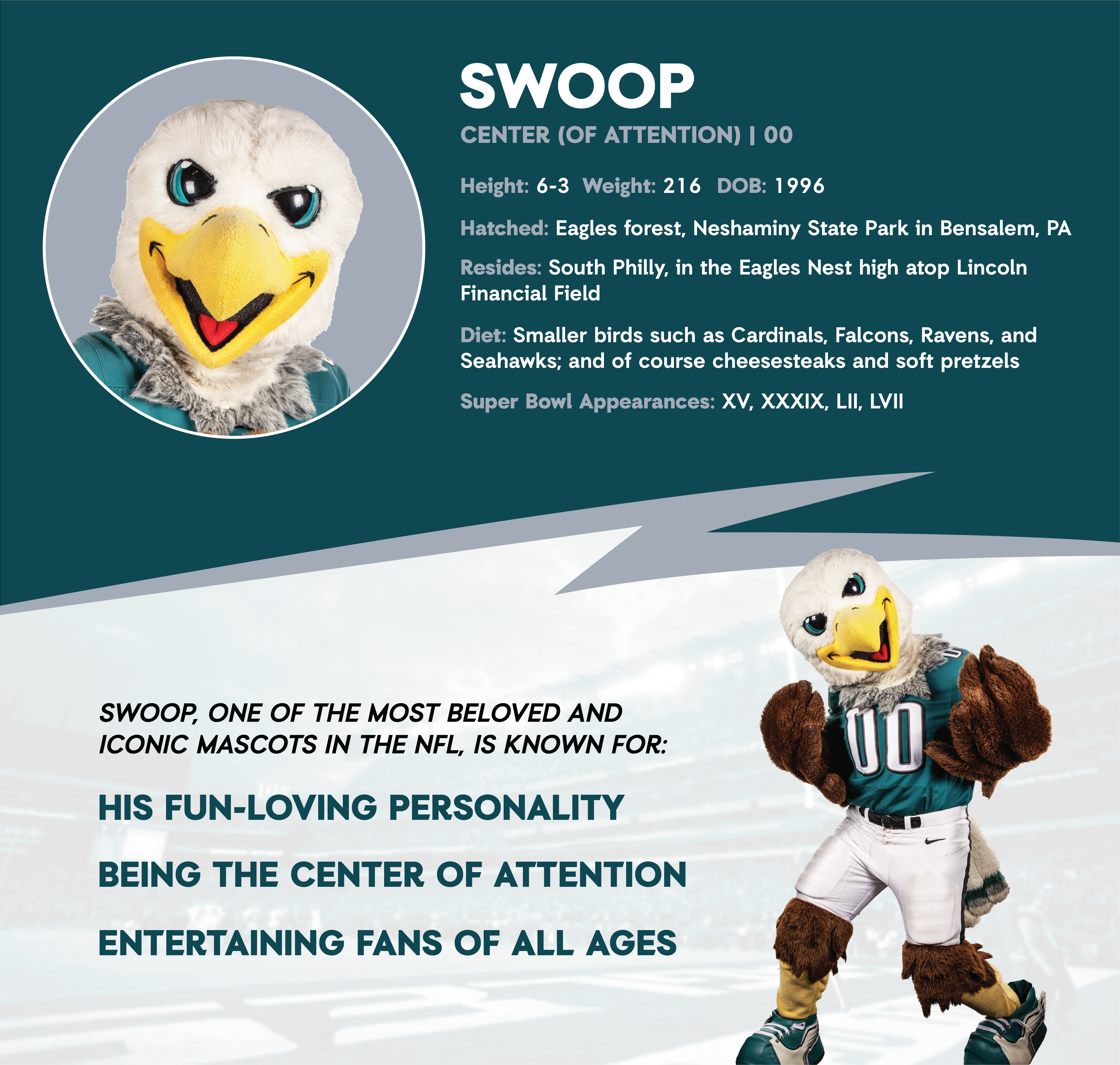 Eagles Mascot Swoop: Fun Facts and History!