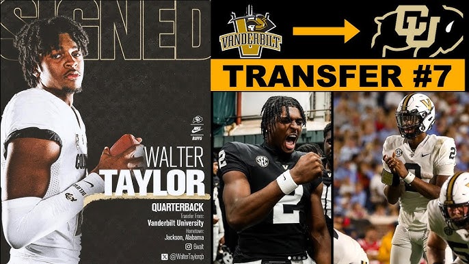 Get the Scoop on Walter Taylor Stats: Simple Look at His NFL Performance