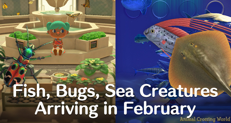 February Animal Crossing Fish Guide: Get All Fish This Month!