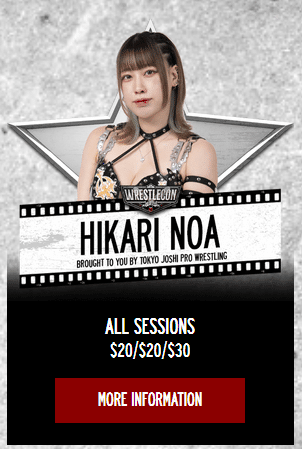 Hikari Noa: All the Details Youve Been Waiting For.