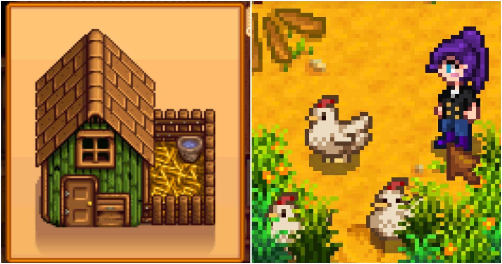 Stardew Coop Guide: Tips for Happy Chickens and Big Profits