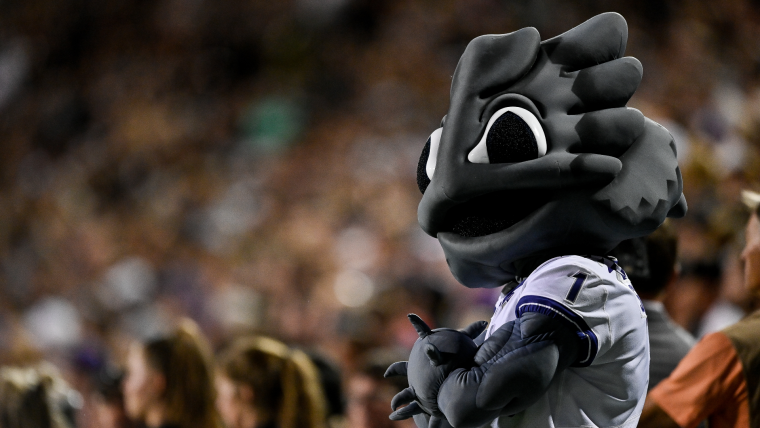 TCU Horned Frog Mascot: Everything You Need to Know (Simple Guide for New Fans)