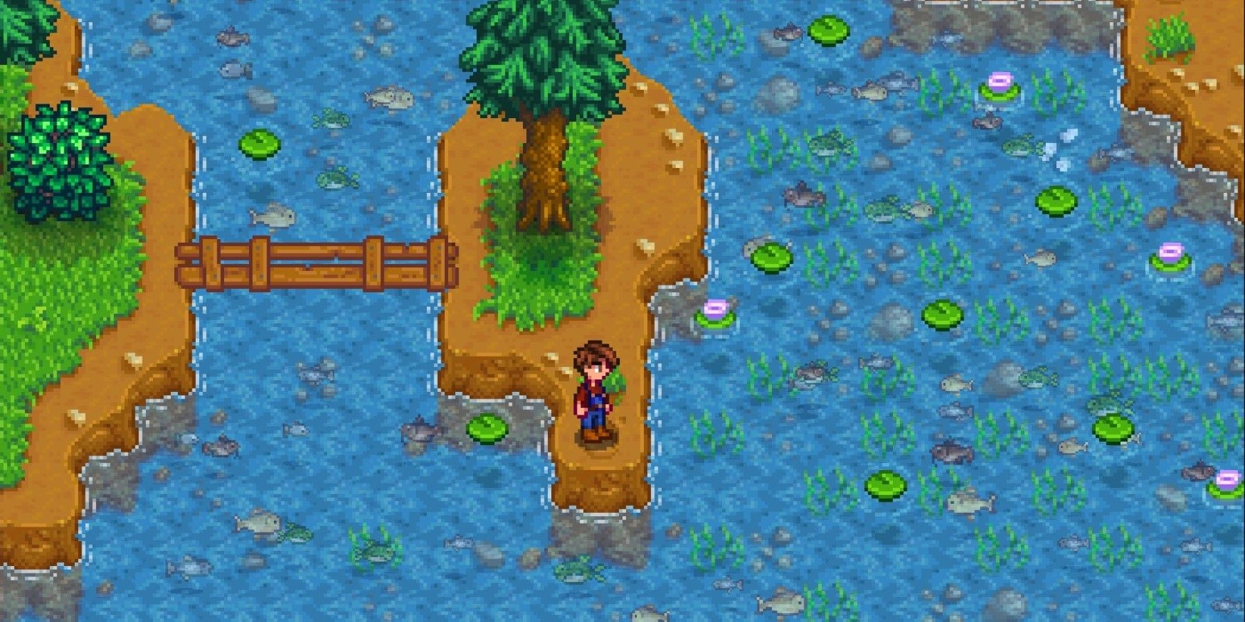 Stardew Valley Catfish Farming: Everything you Need To Know!