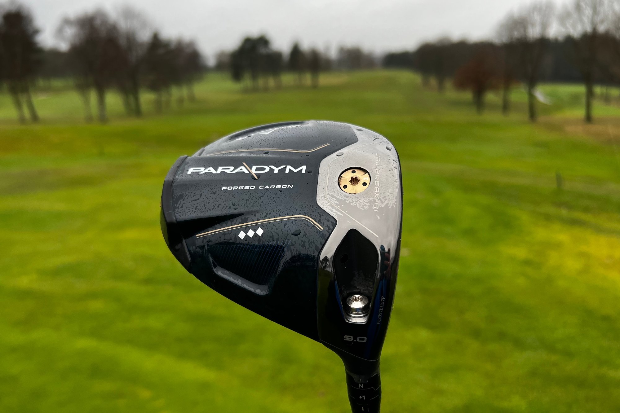 Get Lower Scores: Paradym Triple Diamond S (Beginner Golfer Reviews This Driver)