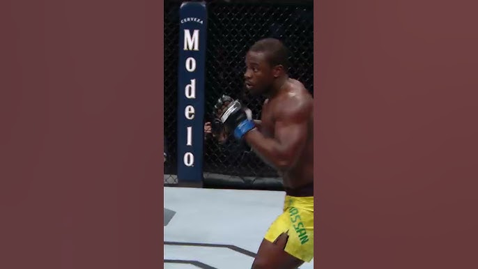 UFC Quickest KO: Blink and Youll Miss It (These Fighters Dont Waste Any Time)