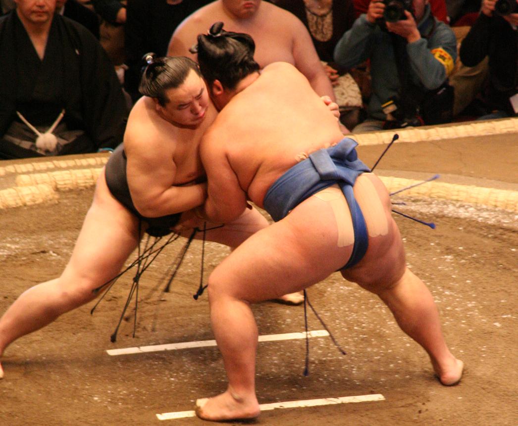 What is a samu wrestler? Get the basic info of a traditional fighter from japan easily!