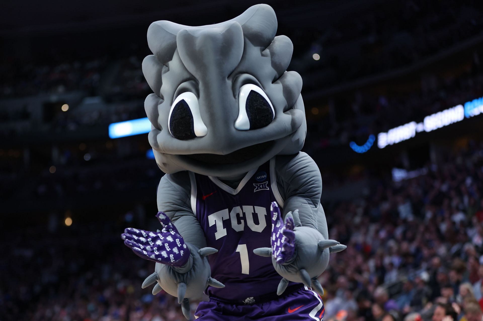 TCU Horned Frog Mascot: Everything You Need to Know (Simple Guide for New Fans)