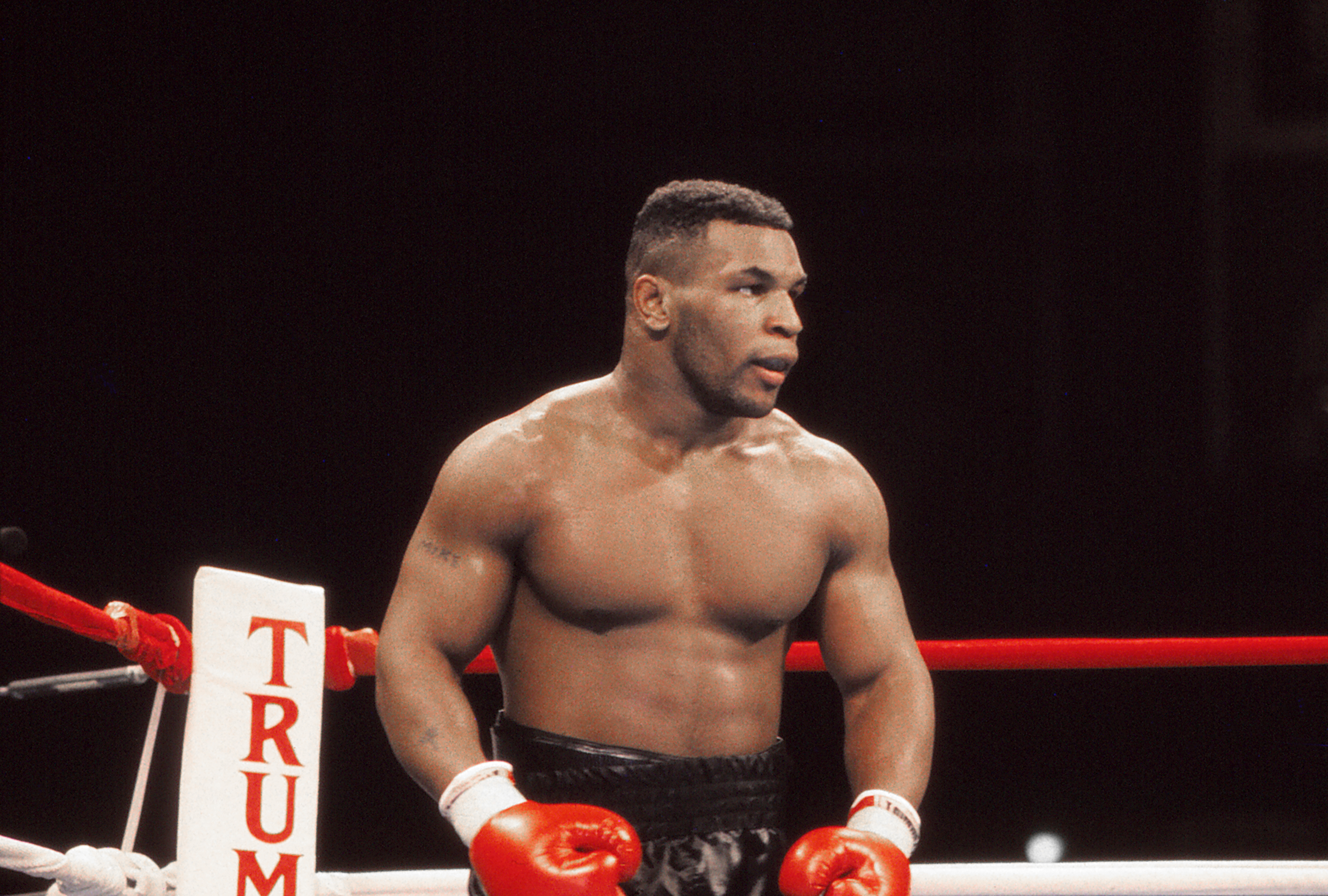 Mike Tyson Right or Left Handed in His Prime? A Quick Guide to Understanding the Champs Fighting Stance!