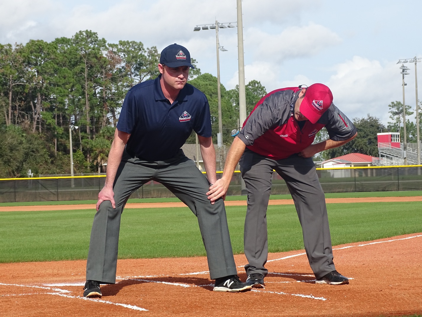 Become a Blue Umpire: Easy Steps and Training For Beginners.