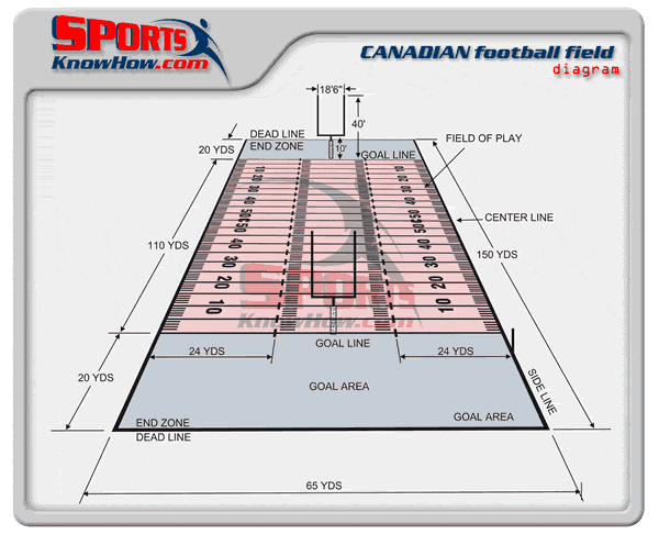 CFL Football Field Measurements: Length & Width Made Clear.