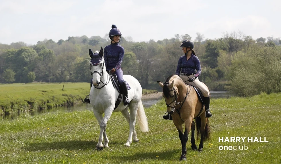 Shop Harry Hall: The Top Choice for Horse Riders of All Levels!