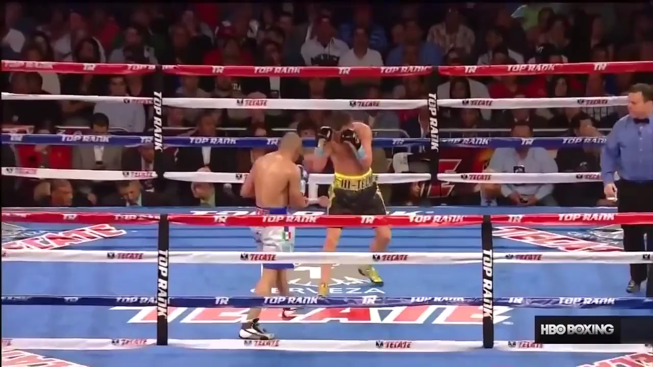 All Loma Losses Explained: What Went Wrong in Each Fight? (And Who Beat Him)