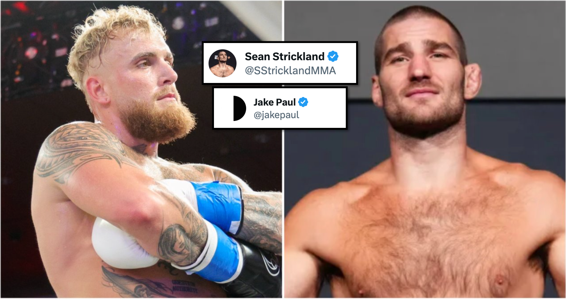 Jake Paul and Sean Strickland Beef: What You Need to Know