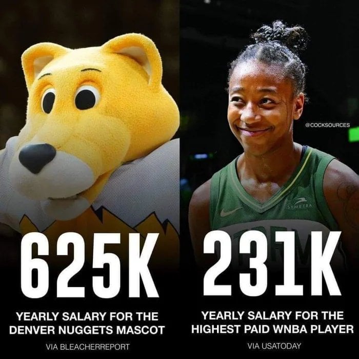 Nuggets Mascot Salary: How Much Does Rocky Make a Year?