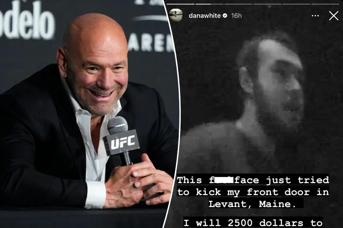 Levant Maine Dana White: All the Gossip, Rumors, and Facts You Can Handle